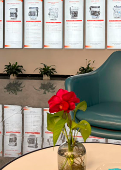 Двигатель BDW 